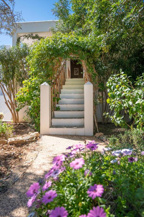 Valley Club Ibiza - Boutique Farm stay