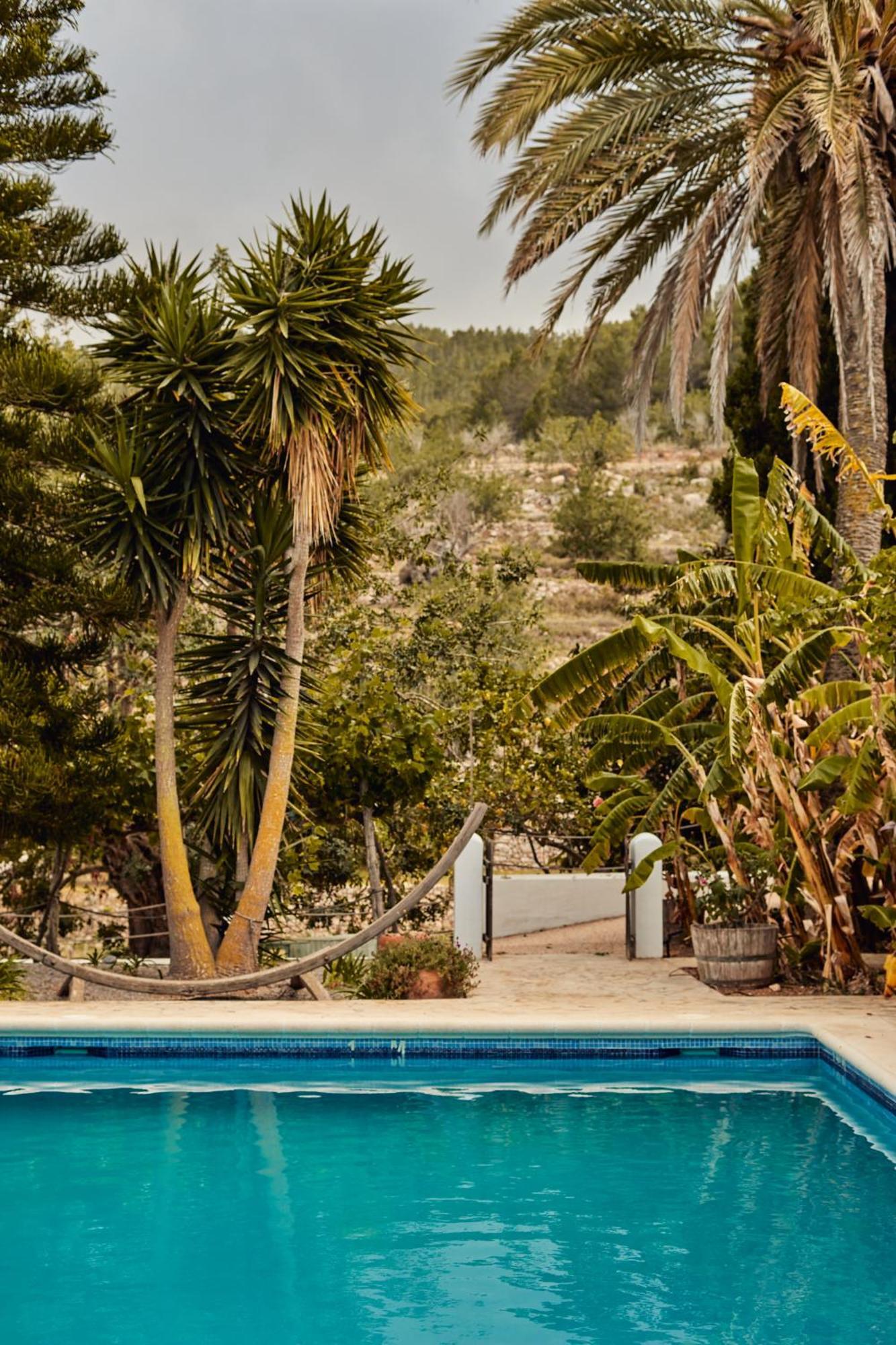 Valley Club Ibiza - Boutique Farm stay Sant Joan De Labritja
