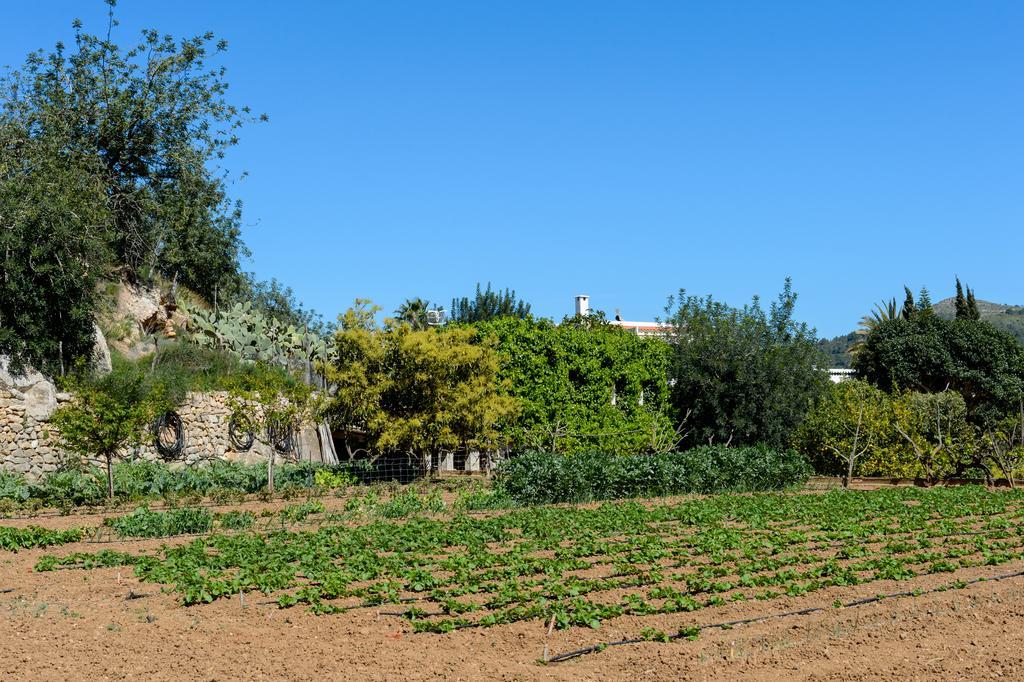 Bauernhof Valley Club Ibiza - Boutique
