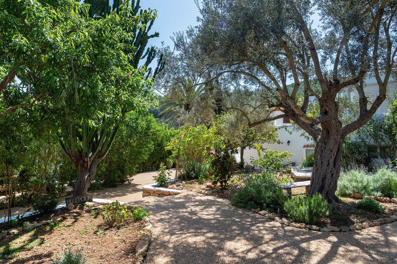 Valley Club Ibiza - Boutique Farm stay Sant Joan De Labritja